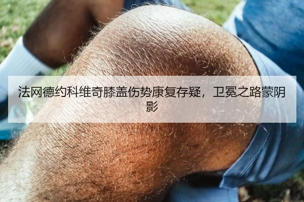法网德约科维奇膝盖伤势康复存疑，卫冕之路蒙阴影
