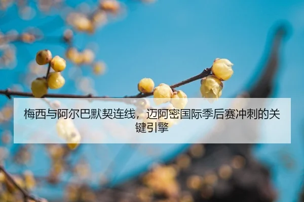 梅西与阿尔巴默契连线，迈阿密国际季后赛冲刺的关键引擎