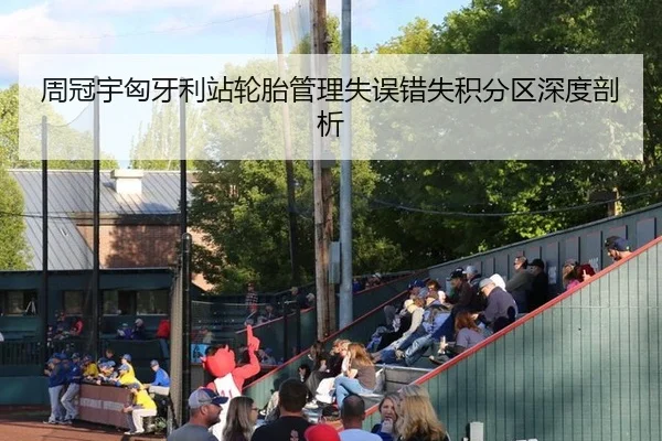 周冠宇匈牙利站轮胎管理失误错失积分区深度剖析