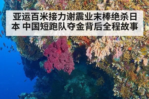 亚运百米接力谢震业末棒绝杀日本 中国短跑队夺金背后全程故事